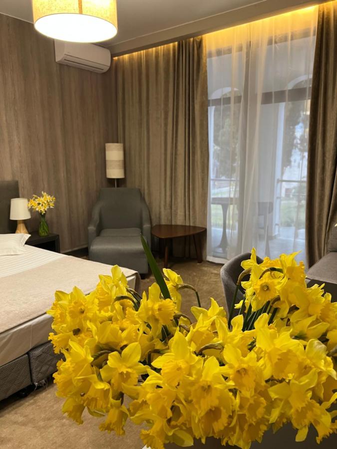 Abaash Hotel Afon New Athos Екстер'єр фото