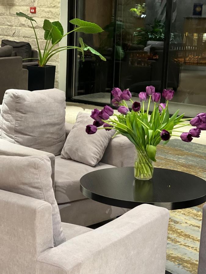 Abaash Hotel Afon New Athos Екстер'єр фото